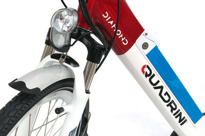 Closeup of Quadrini logo on a bike